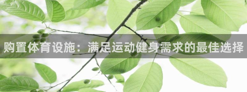 意昂3集团简介：购置体育设施：满足运动健身需求的最佳