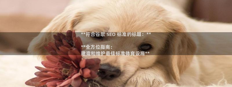 意昂体育3招商电话号码查询：**符合谷歌 SEO 标